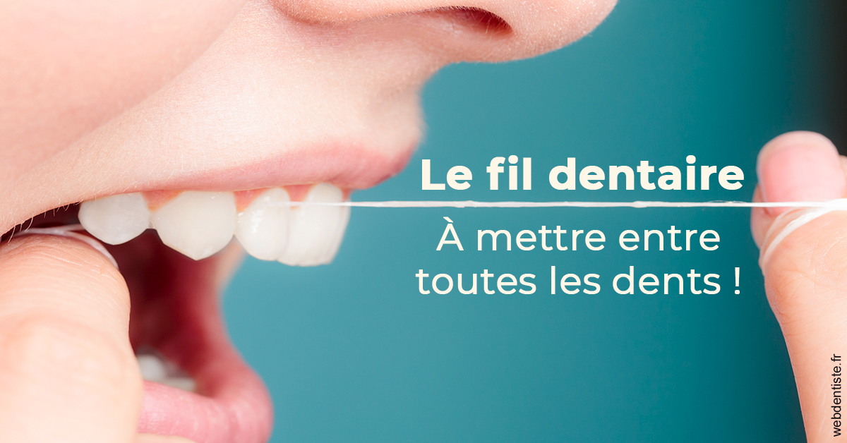 https://dr-ricci-anne-marie.chirurgiens-dentistes.fr/Le fil dentaire 2