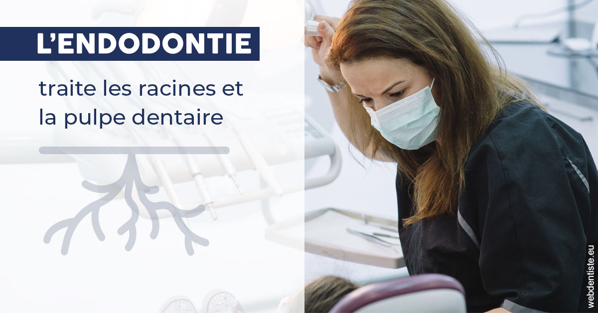 https://dr-ricci-anne-marie.chirurgiens-dentistes.fr/L'endodontie 1