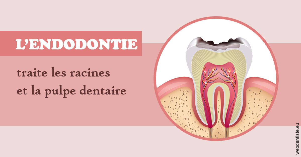 https://dr-ricci-anne-marie.chirurgiens-dentistes.fr/L'endodontie 2