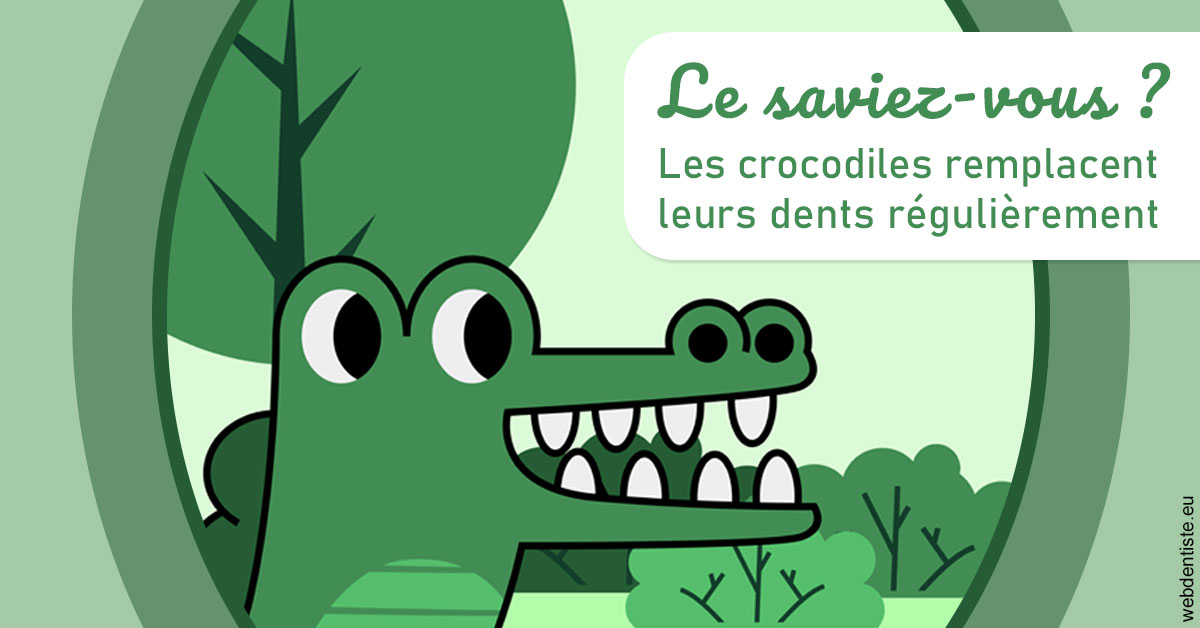 https://dr-ricci-anne-marie.chirurgiens-dentistes.fr/Crocodiles 2