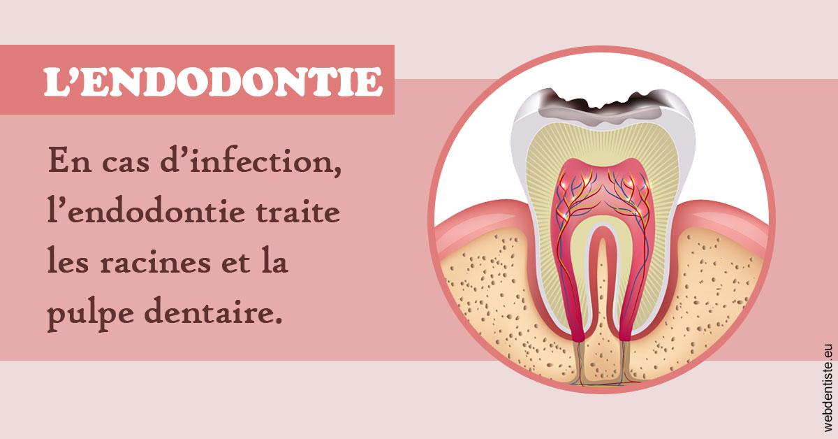 https://dr-ricci-anne-marie.chirurgiens-dentistes.fr/L'endodontie 2